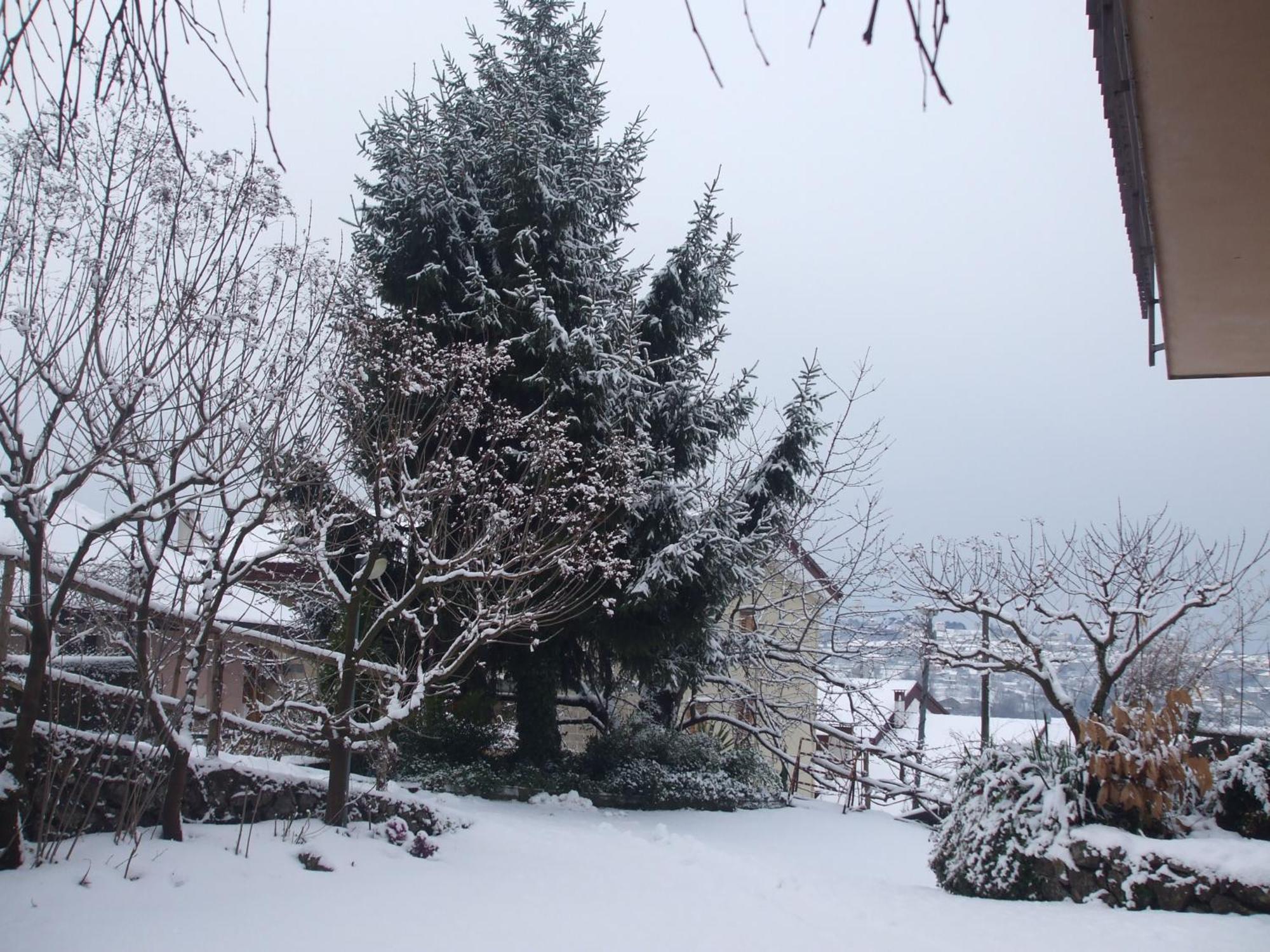 Agriturismo Nonno Tobia Agerola Εξωτερικό φωτογραφία