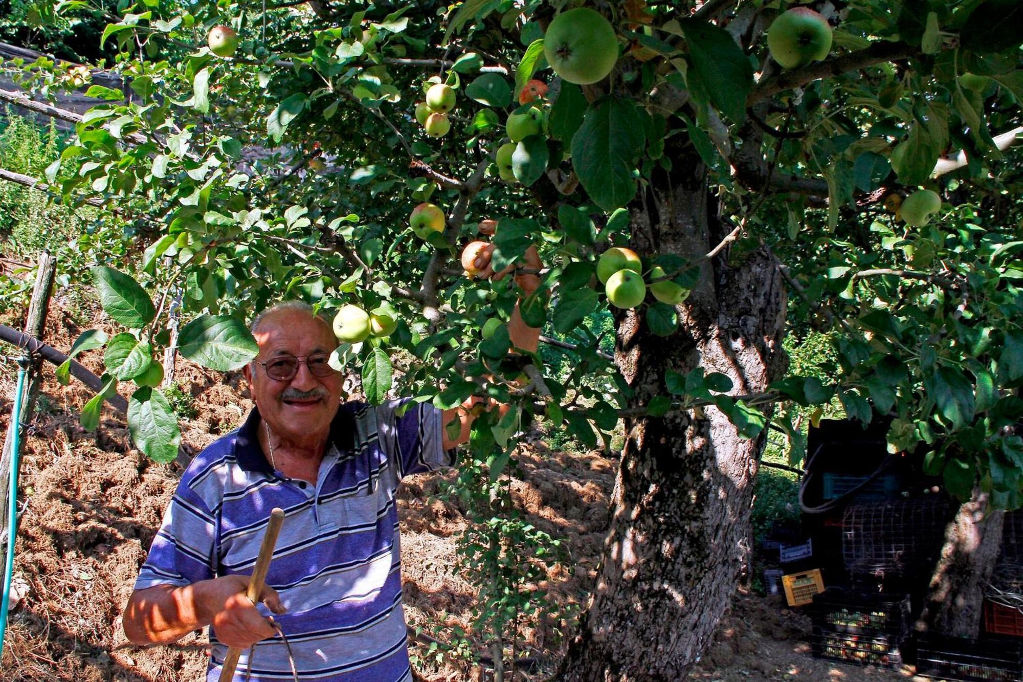 Agriturismo Nonno Tobia Agerola Εξωτερικό φωτογραφία