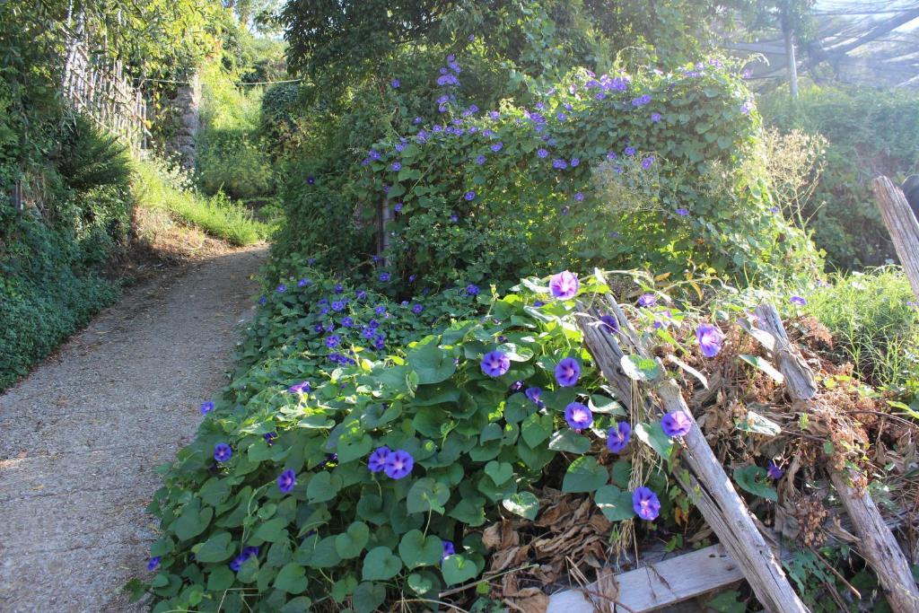 Agriturismo Nonno Tobia Agerola Εξωτερικό φωτογραφία