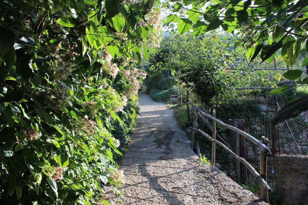 Agriturismo Nonno Tobia Agerola Εξωτερικό φωτογραφία