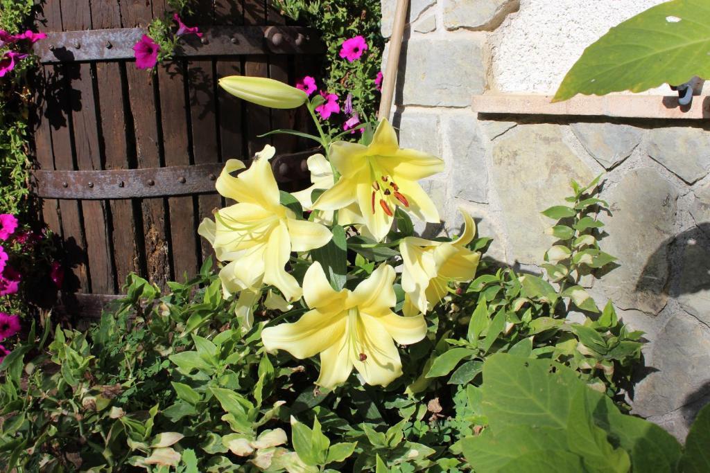 Agriturismo Nonno Tobia Agerola Εξωτερικό φωτογραφία